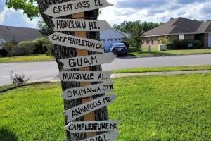 Expert outdoor landscaping for beautiful yards in Jacksonville, FL by A1 Sod