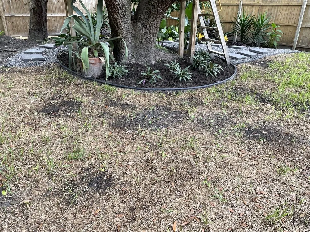 Reliable lawn care service for outdoor upgrades in Jacksonville, FL by A1 Sod