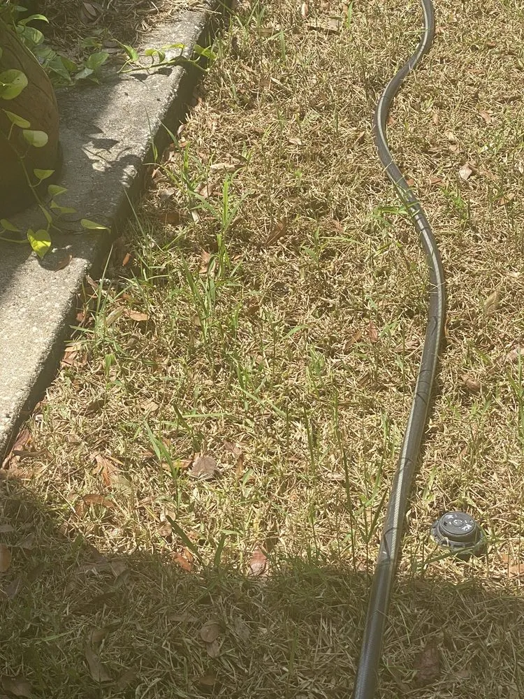 Trusted lawn care service experts serving Jacksonville, FL - A1 Sod
