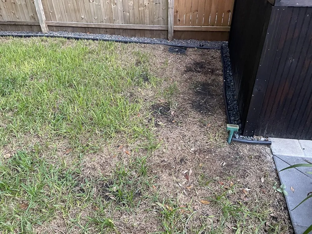 Trusted yard cleanup service for residential properties across Jacksonville, FL - A1 Sod