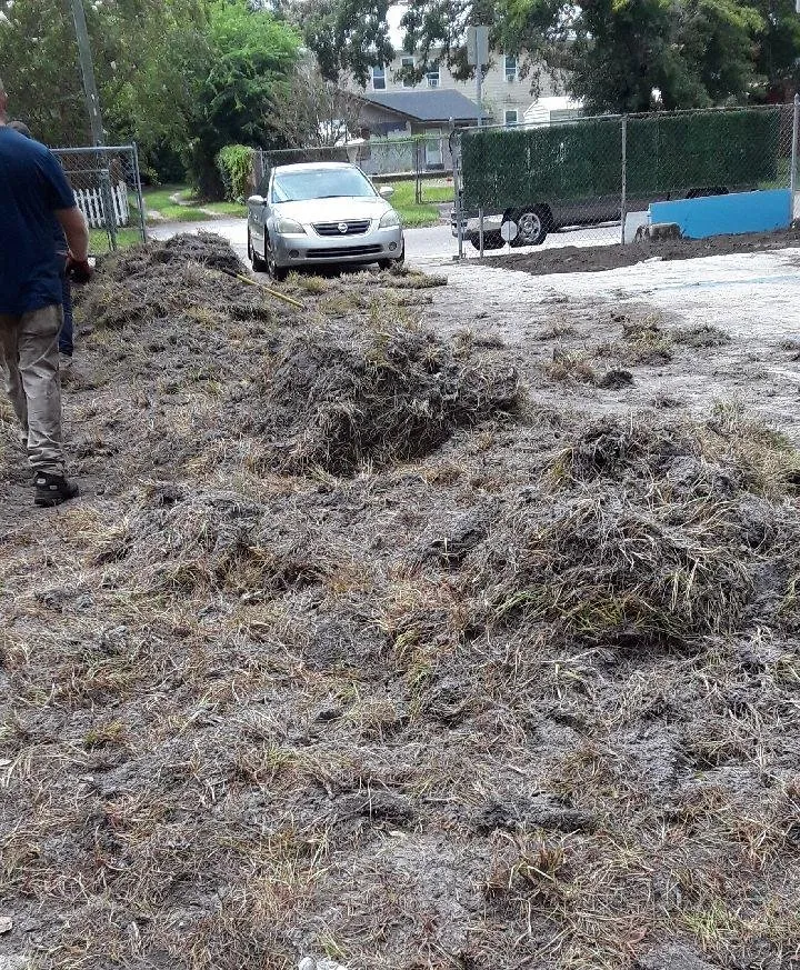 Local landscaping services experts serving Jacksonville, FL - A1 Sod