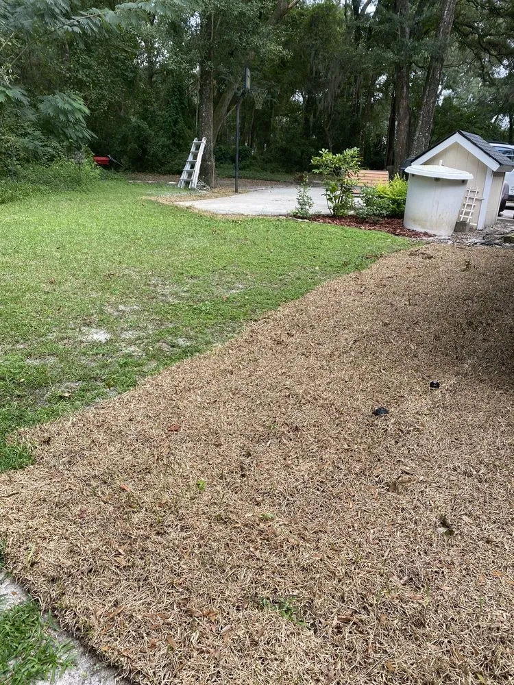 Affordable residential landscaping near you across Jacksonville, FL - A1 Sod