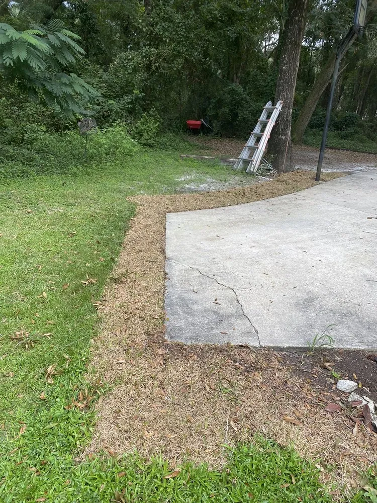 Expert landscape installation in Jacksonville, FL - A1 Sod