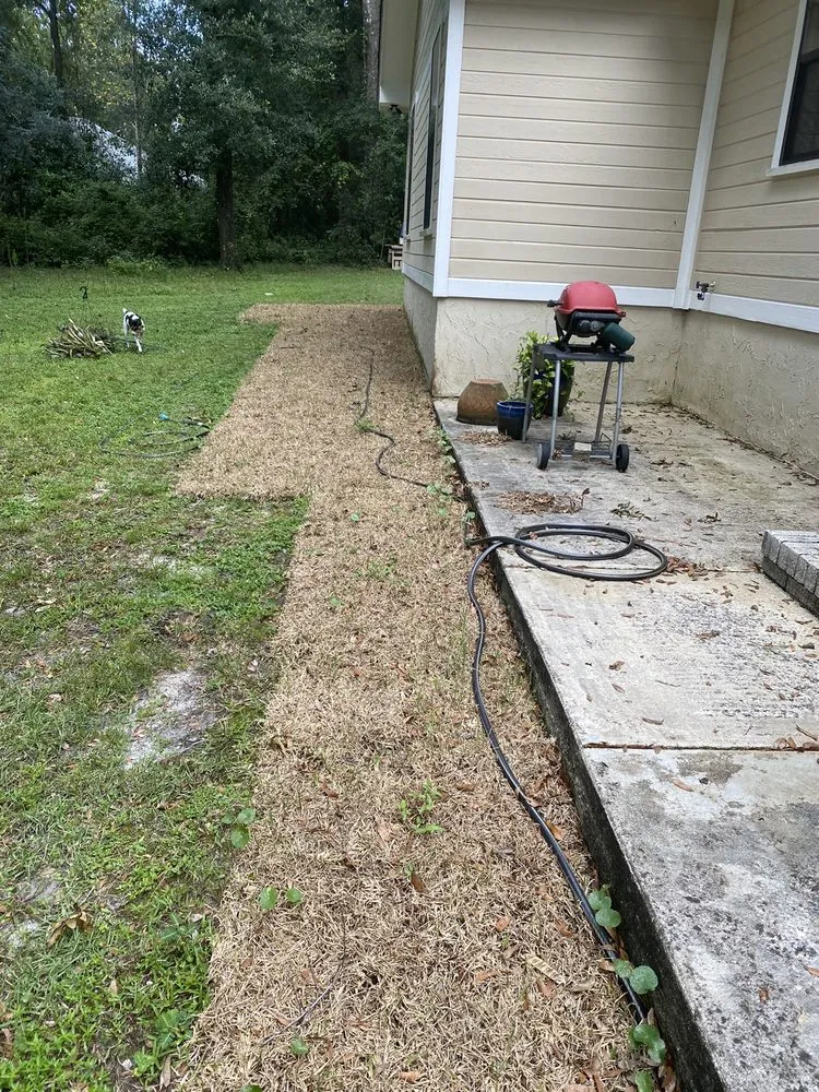 Trusted residential landscaping with custom design across Jacksonville, FL - A1 Sod