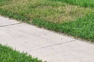 Reliable outdoor landscaping for residential properties across Jacksonville, FL - A1 Sod