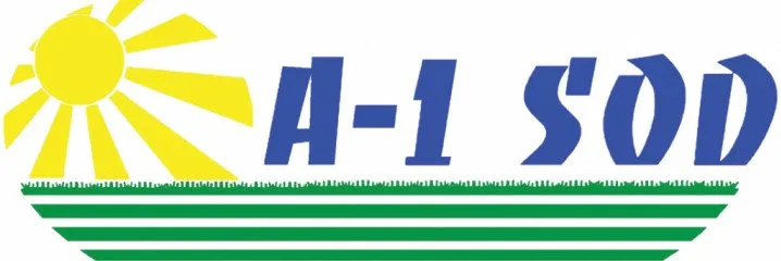 Top-rated yard maintenance experts serving Jacksonville, FL - A1 Sod