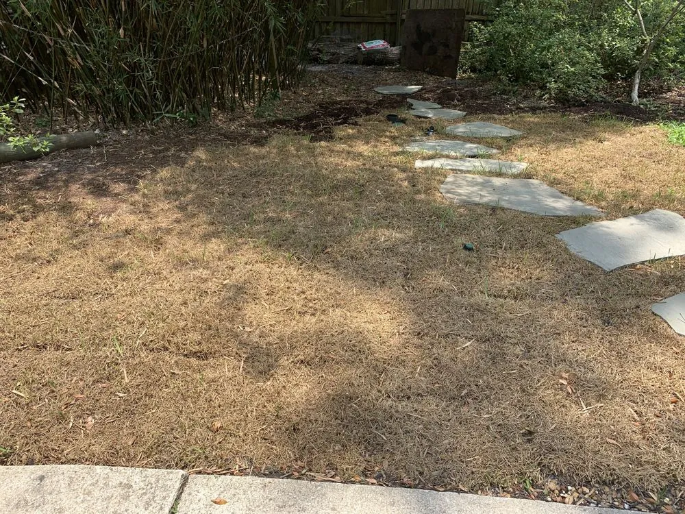 Expert lawn care service for residential properties in Jacksonville, FL by A1 Sod