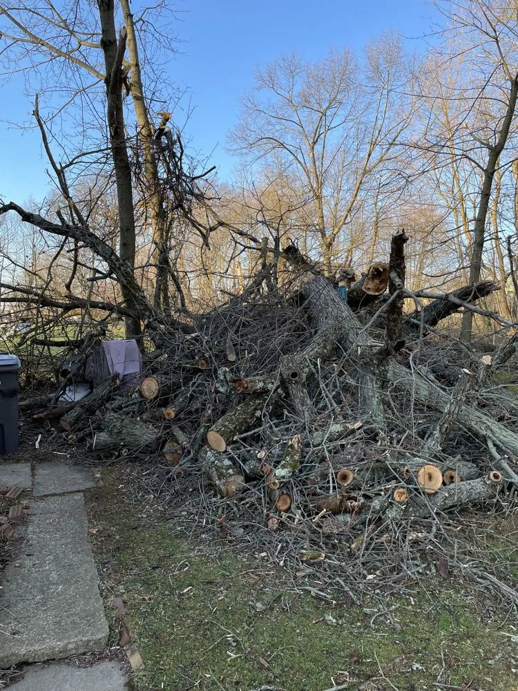 Reliable yard maintenance for homes in Youngstown, OH by A1 Specialties