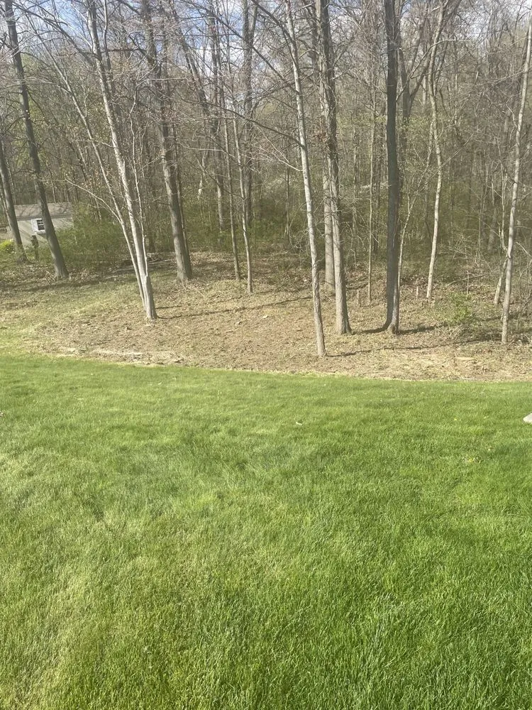 Local landscape installation for beautiful yards across Youngstown, OH - A1 Specialties