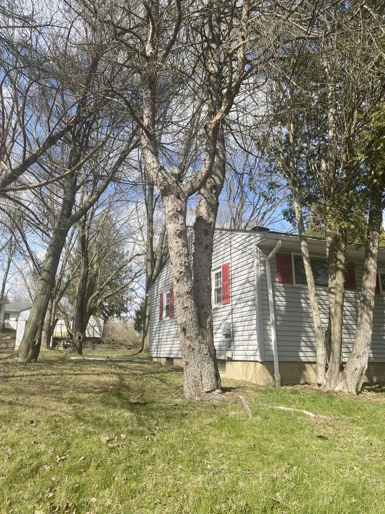 Local lawn mowing service in Youngstown, OH by A1 Specialties