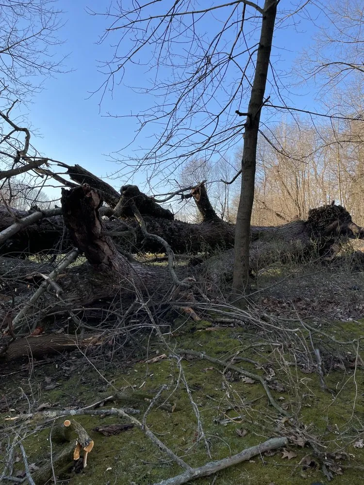 Affordable residential landscaping in Youngstown, OH - A1 Specialties