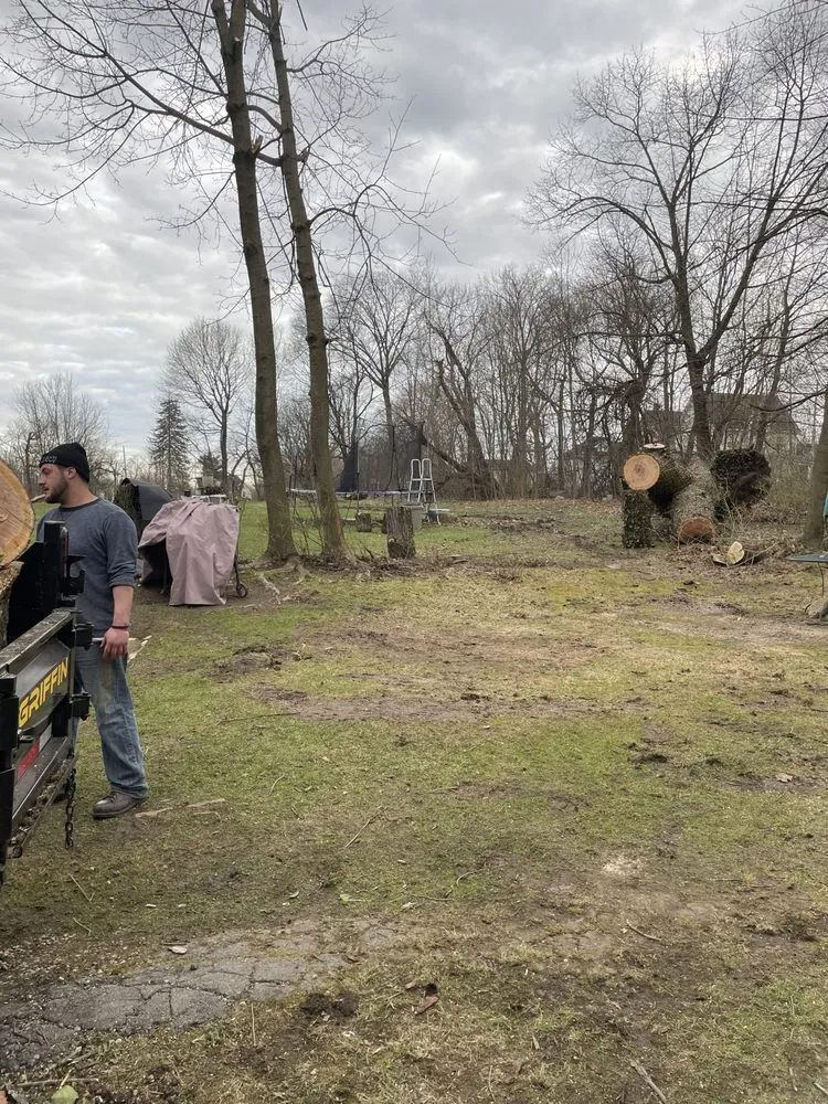 Top-rated landscape design for outdoor upgrades in Youngstown, OH by A1 Specialties