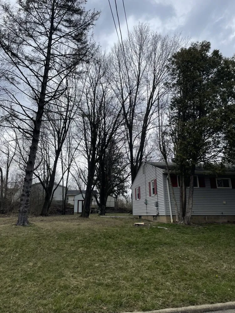 Top-rated lawn mowing service near you in Youngstown, OH by A1 Specialties