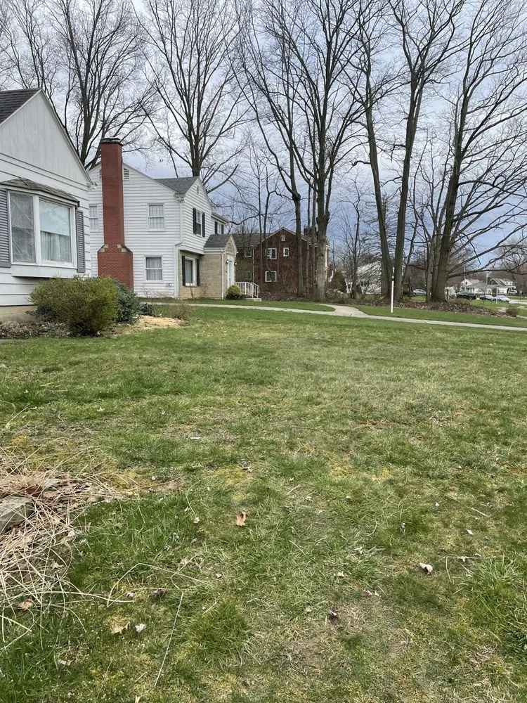 Local lawn care service in Youngstown, OH by A1 Specialties