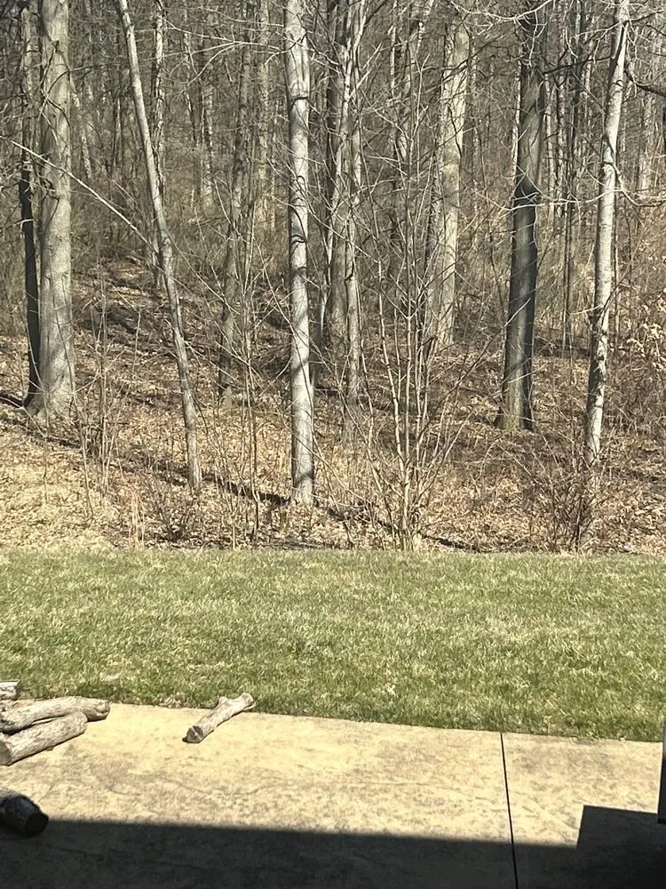 Top-rated outdoor landscaping near you across Youngstown, OH - A1 Specialties