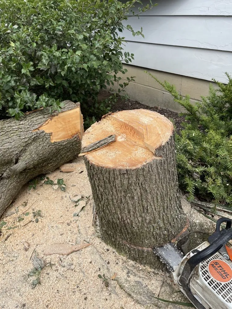 Trusted outdoor landscaping experts serving Youngstown, OH - A1 Specialties