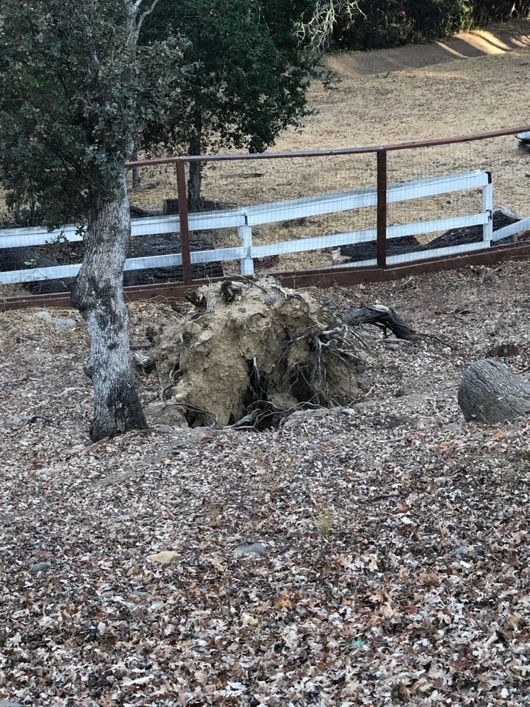 Local landscaping services experts serving San Jose, CA - A1 Stump Tree Service