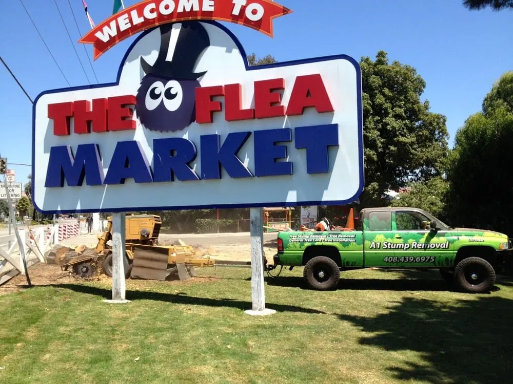 Reliable yard cleanup service in San Jose, CA - A1 Stump Tree Service