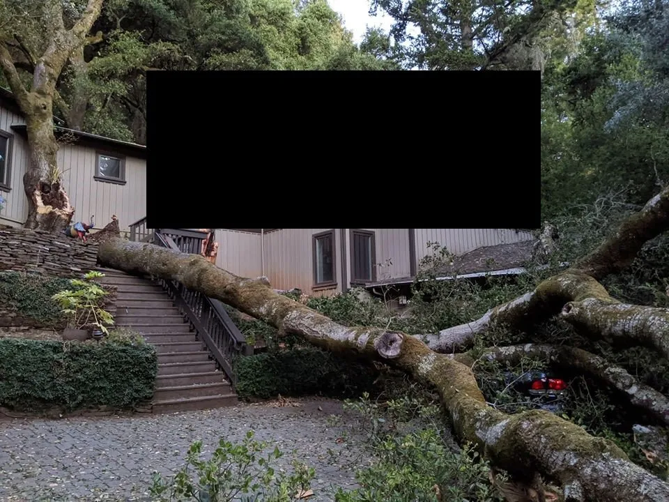 Professional garden landscaping experts serving San Jose, CA - A1 Stump Tree Service