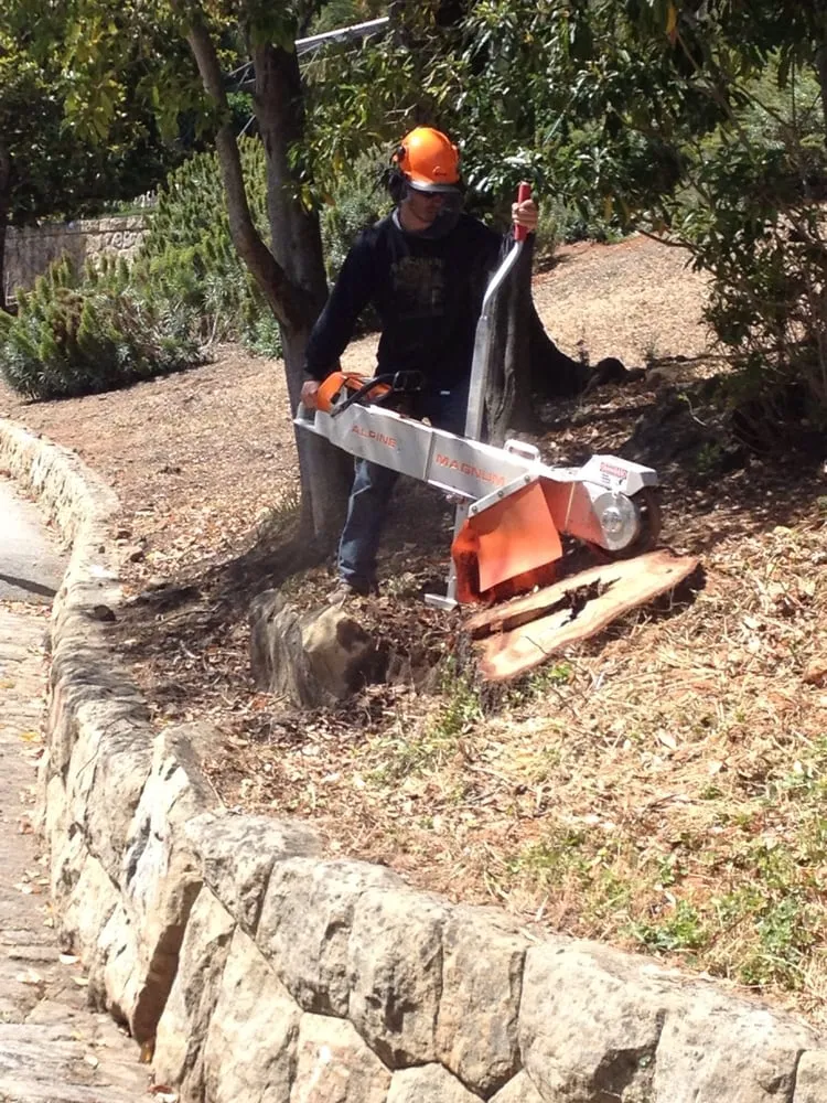 Reliable landscape design in San Jose, CA by A1 Stump Tree Service
