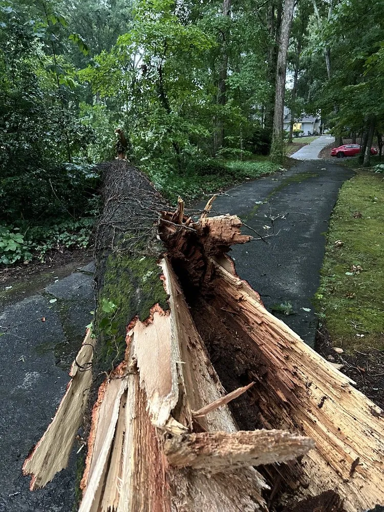 Local lawn mowing service experts serving WoodStock, GA - A1 Tree & Landscaping