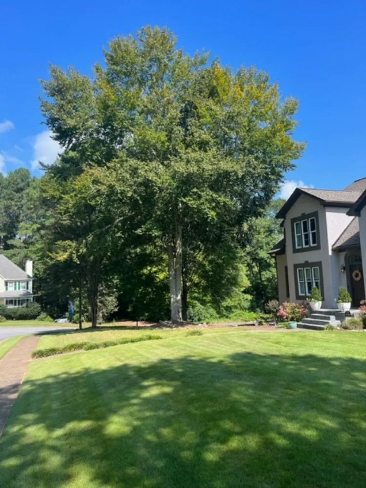 Affordable residential landscaping experts serving WoodStock, GA - A1 Tree & Landscaping