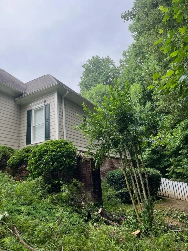 Local lawn mowing service experts serving WoodStock, GA - A1 Tree & Landscaping