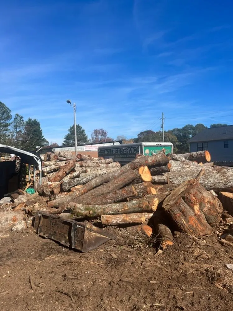 Trusted lawn care service in WoodStock, GA - A1 Tree & Landscaping