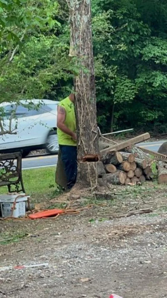 Expert residential landscaping near you across WoodStock, GA - A1 Tree & Landscaping