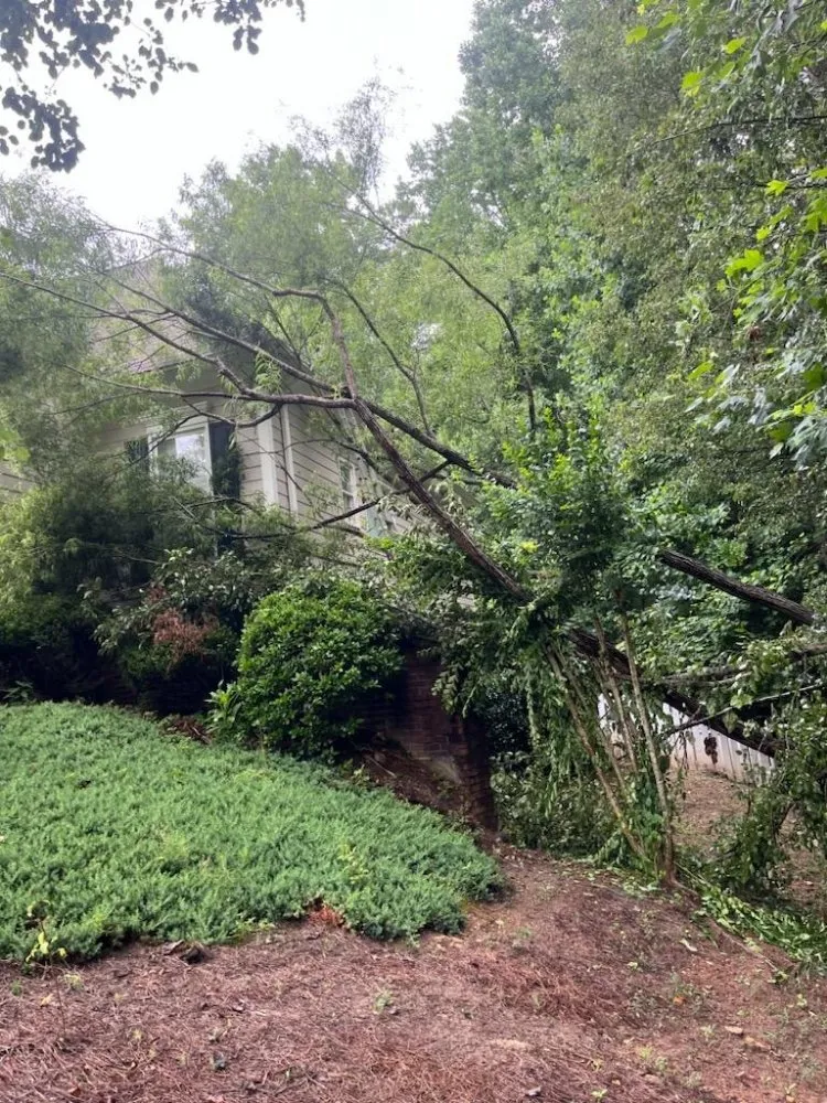 Professional lawn care service for outdoor upgrades in WoodStock, GA by A1 Tree & Landscaping