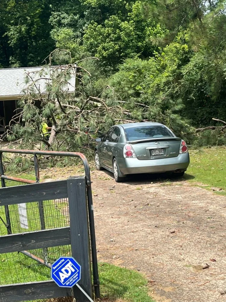 Expert outdoor landscaping near you across WoodStock, GA - A1 Tree & Landscaping