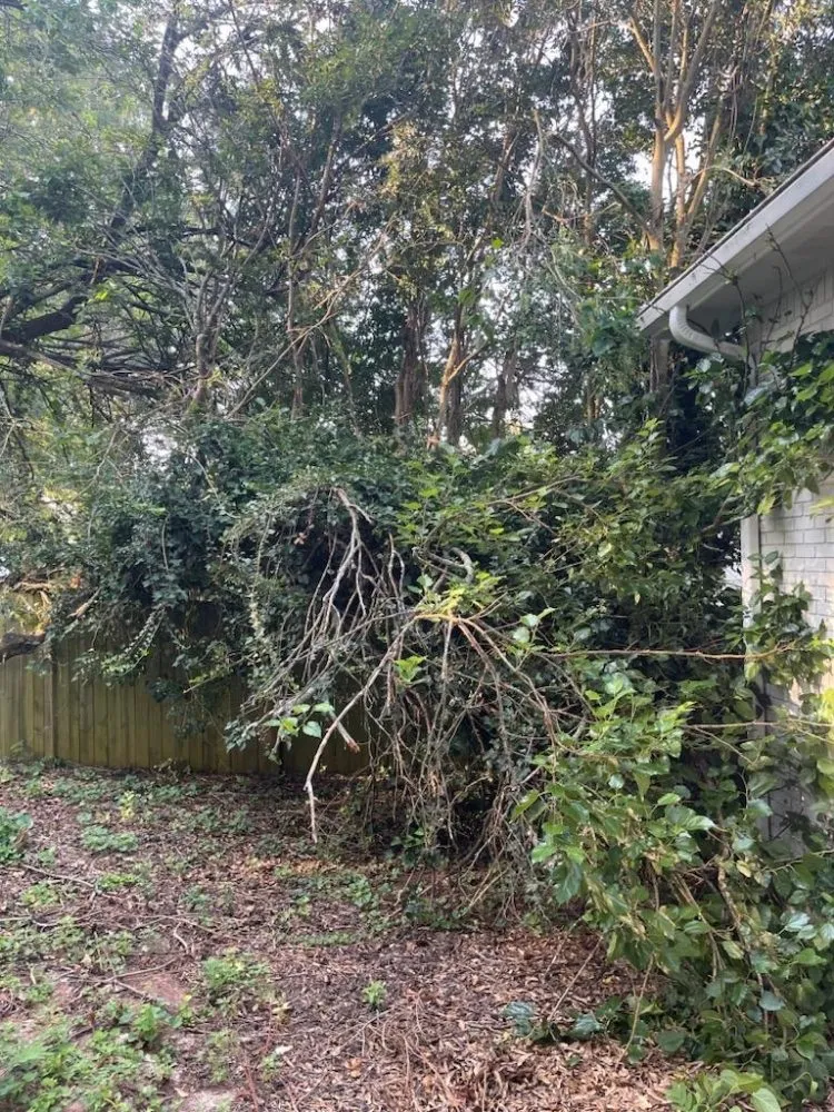 Local residential landscaping near you across WoodStock, GA - A1 Tree & Landscaping