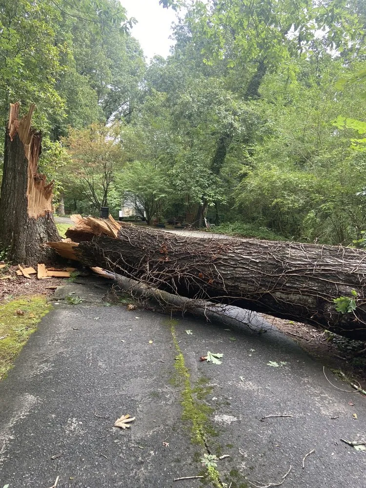 Top-rated garden landscaping in WoodStock, GA by A1 Tree & Landscaping