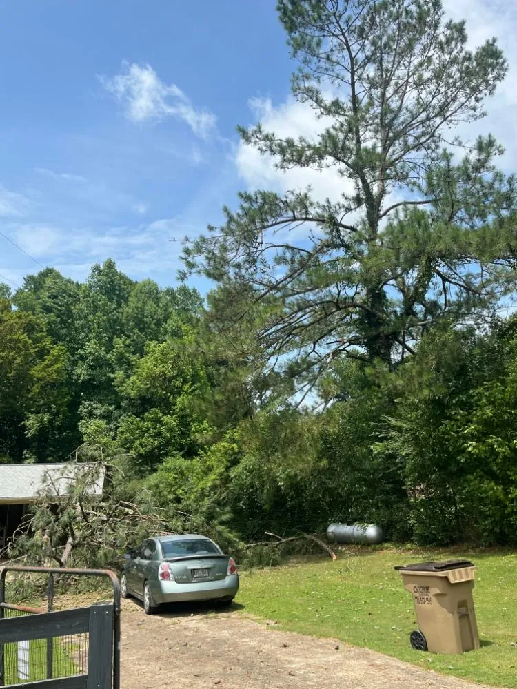 Affordable garden landscaping experts serving WoodStock, GA - A1 Tree & Landscaping