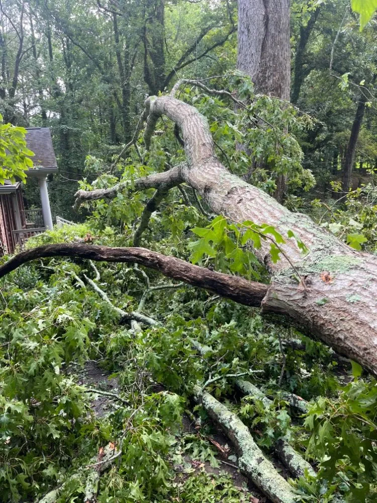 Affordable landscaping services experts serving WoodStock, GA - A1 Tree & Landscaping