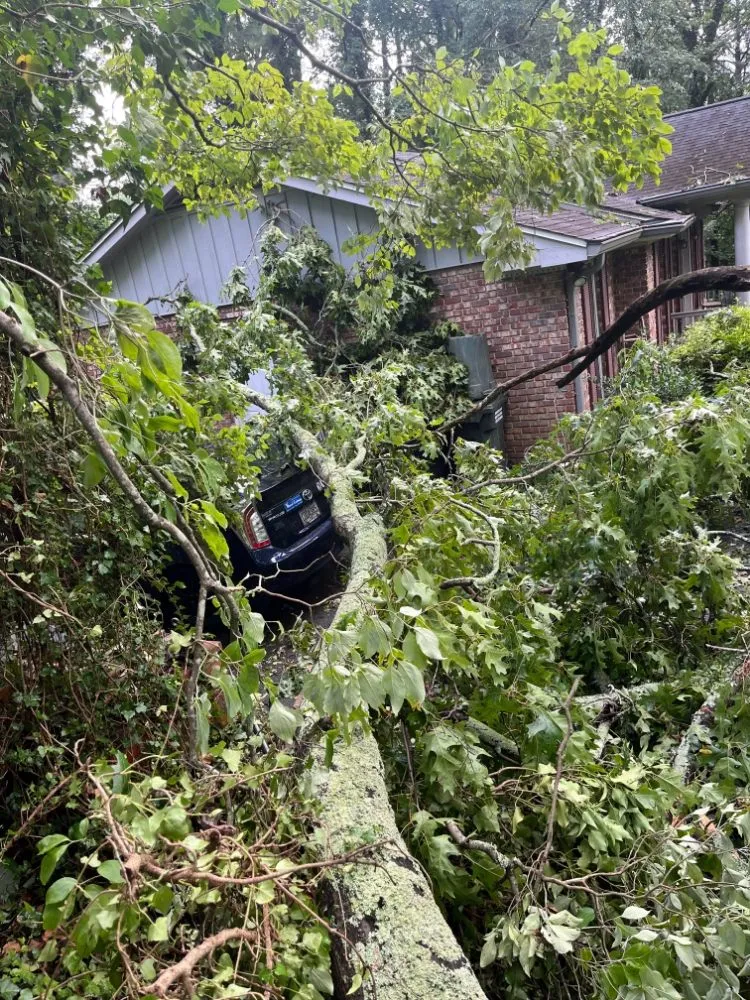 Professional landscape installation for outdoor upgrades across WoodStock, GA - A1 Tree & Landscaping