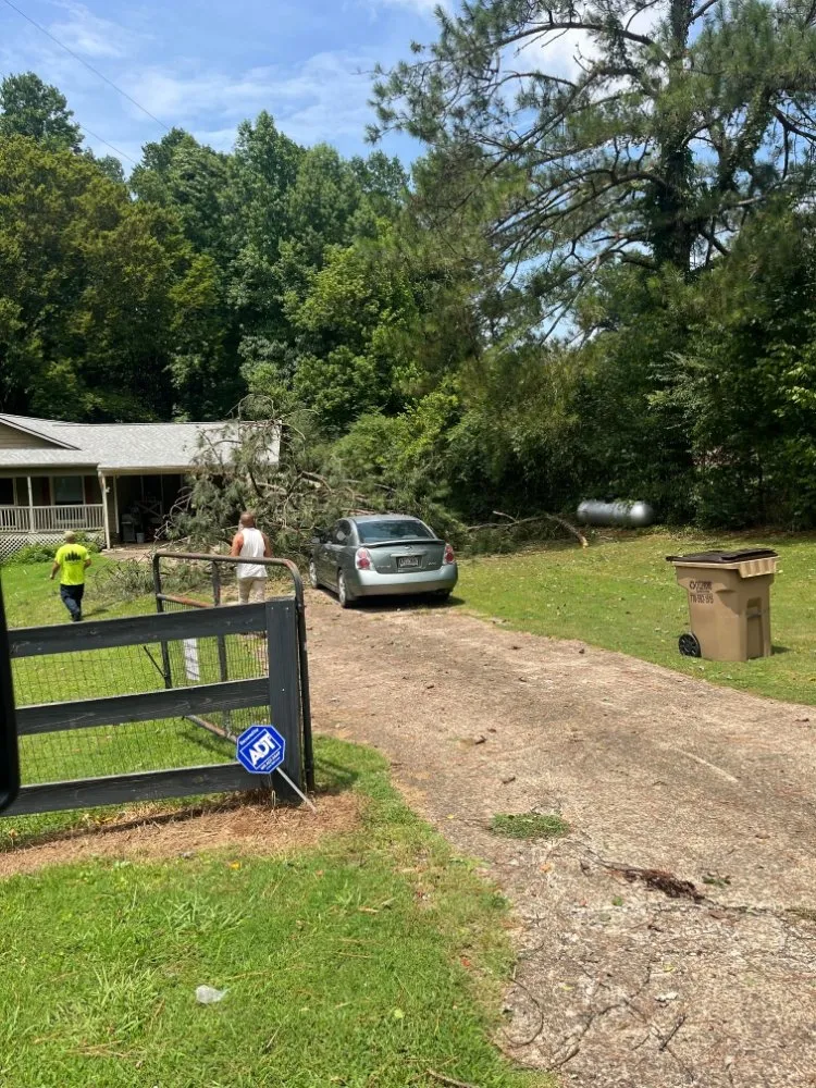 Reliable landscaping services experts serving WoodStock, GA - A1 Tree & Landscaping