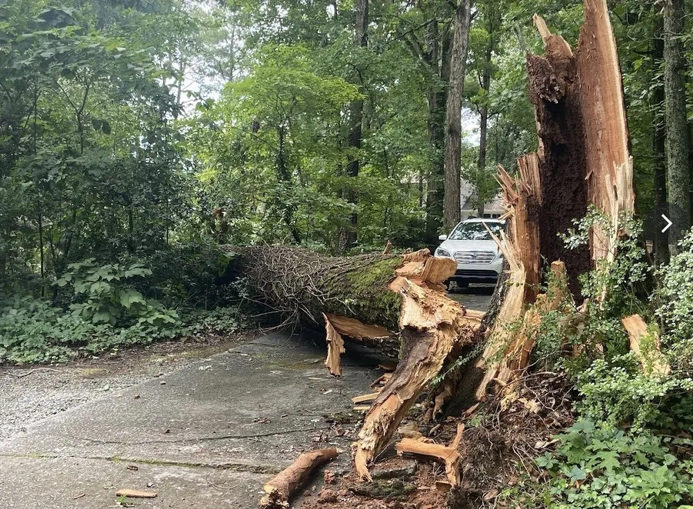 Trusted landscaping services experts serving WoodStock, GA - A1 Tree & Landscaping