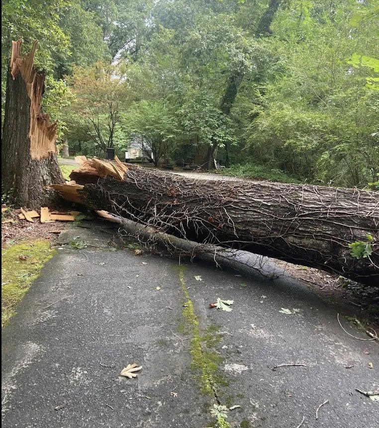 Custom outdoor landscaping experts serving WoodStock, GA - A1 Tree & Landscaping