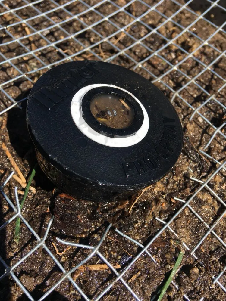 Professional outdoor landscaping for homes in Pomona, CA by A1 Tree and Landscape