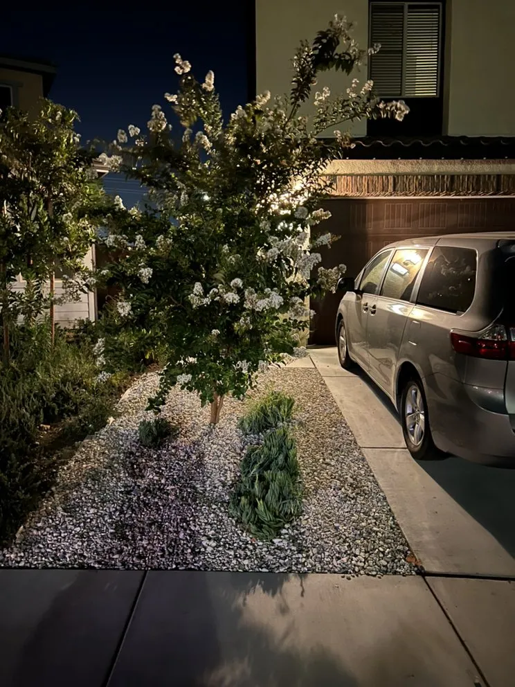 Reliable residential landscaping in Pomona, CA - A1 Tree and Landscape