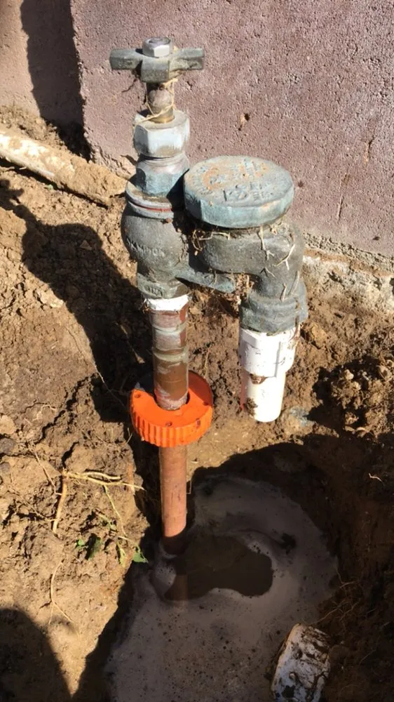 Reliable lawn care service experts serving Pomona, CA - A1 Tree and Landscape