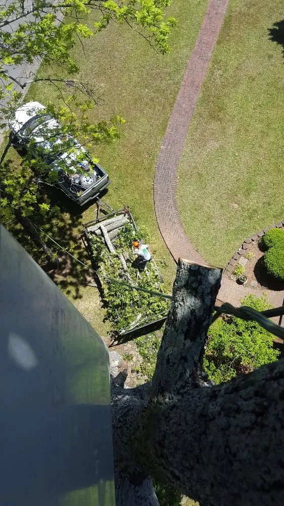 Local lawn care service experts serving Vinemont, AL - A1 Tree Service & Landscaping