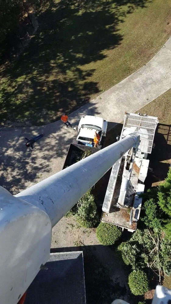 Expert outdoor landscaping for homes in Vinemont, AL by A1 Tree Service & Landscaping