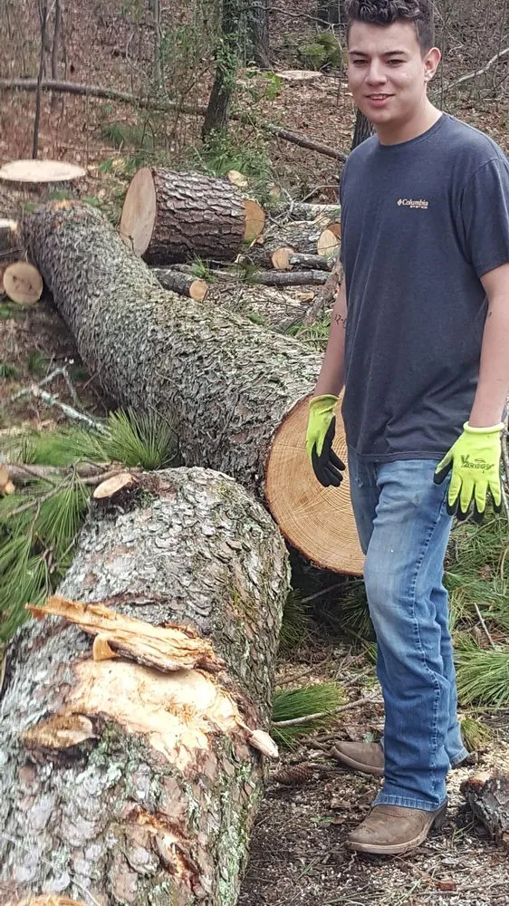 Top-rated landscaping services for residential properties in Vinemont, AL by A1 Tree Service & Landscaping