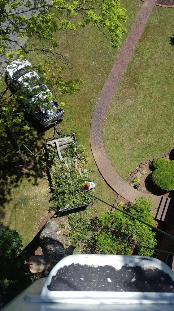 Local yard maintenance in Vinemont, AL by A1 Tree Service & Landscaping