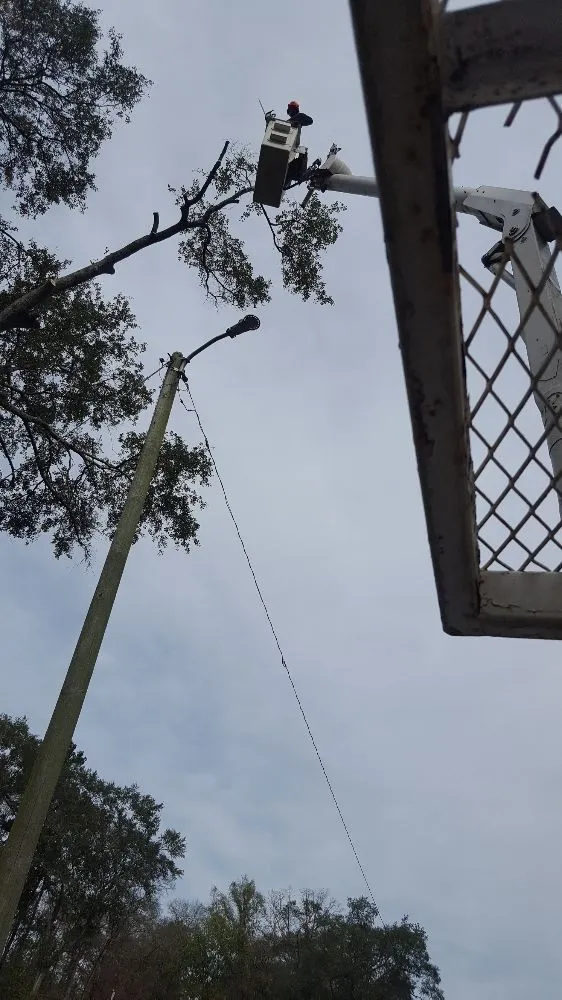 Top-rated landscape installation experts serving Vinemont, AL - A1 Tree Service & Landscaping