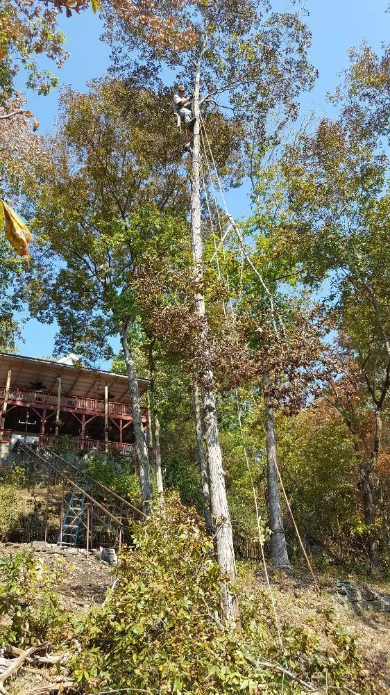 Custom landscaping services experts serving Vinemont, AL - A1 Tree Service & Landscaping