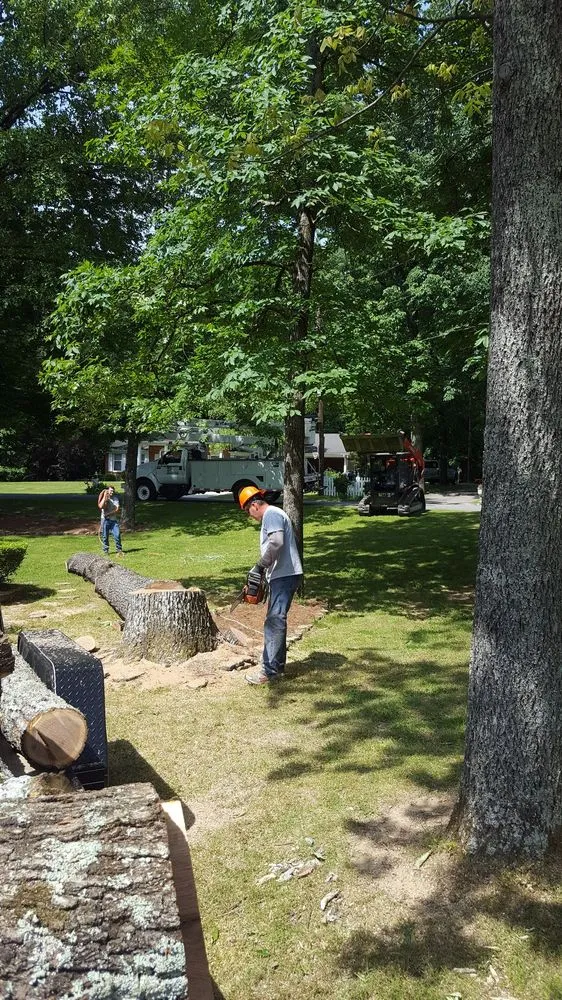 Trusted outdoor landscaping for year-round maintenance in Vinemont, AL by A1 Tree Service & Landscaping
