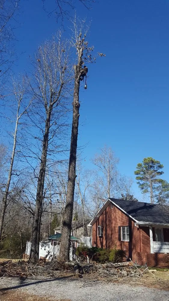 Custom residential landscaping in Vinemont, AL by A1 Tree Service & Landscaping